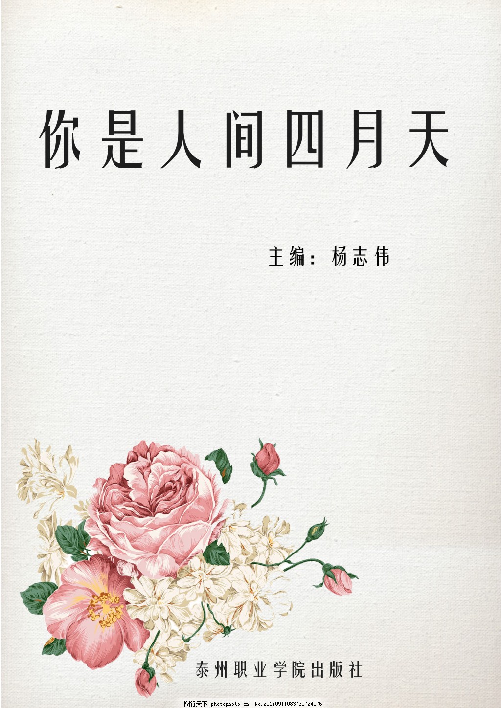 猫咪在线观看网站入口